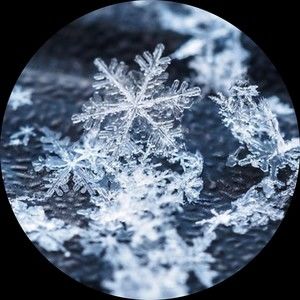 Meet your Posher, Devin